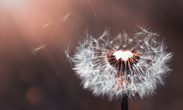 positive Psychologie Beratung Coaching Veränderung Neubeginn